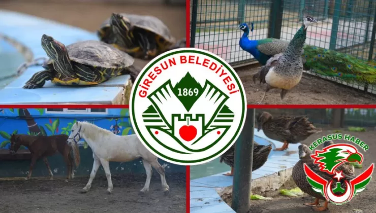 Giresun Belediyesi Hayvanat Bahçesi’nin Kapısı Herkese Açık