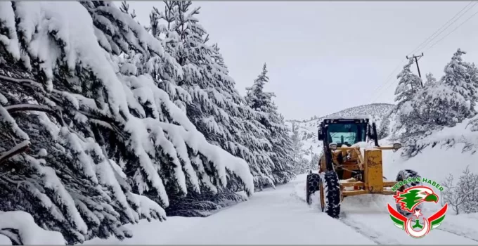 Kar Nedeniyle 521 Yol Ulaşıma Kapandı