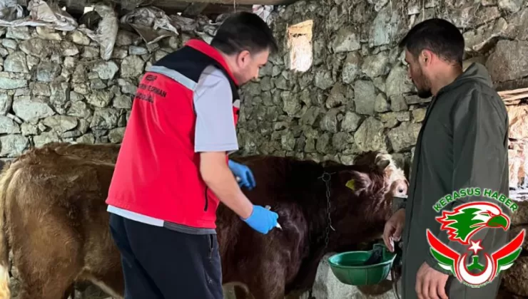 İlkbahar Dönemi Şap Aşılama Kampanyası Başladı