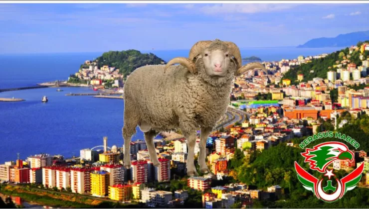 Yetiştiricilere Kurbanlık Sevk Uyarısı!