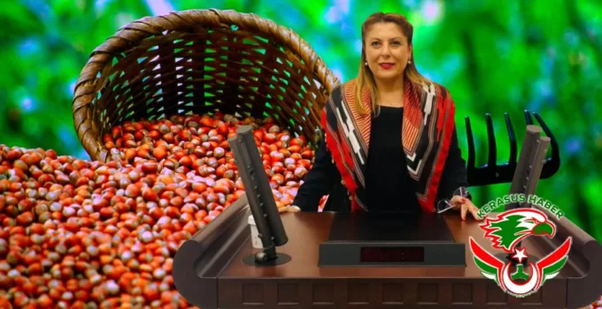 “Bizim Madenimiz, Fındığımızdır”