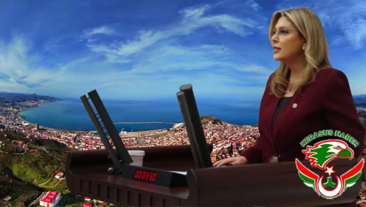 “Yaşam Alanlarımızın Talan Edilmesine İzin Vermeyeceğiz”