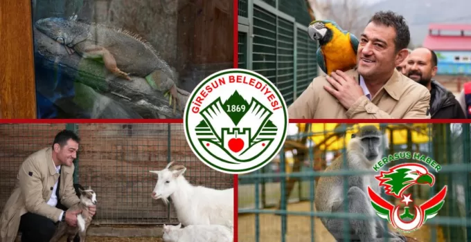 Hayvanat Bahçesindeki Hayvan Türleri Artıyor