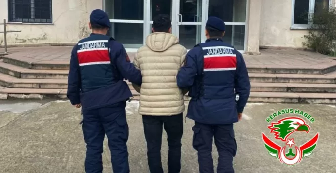 Jandarma’dan; Dereli’de Asayiş Operasyonu: 1 Tutuklama