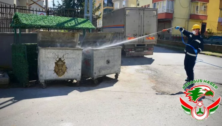 Giresun Belediyesi, Kokarca İle Mücadeleye Başladı