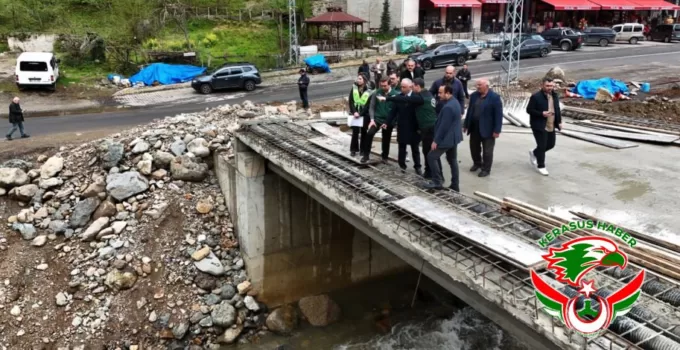 Melikli Araç Köprüsü ve Darıbükü Çelik Yaya Köprüsü Tamamlanıyor