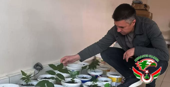 Osman Doruk’tan Ceviz Fidanı Hamlesi