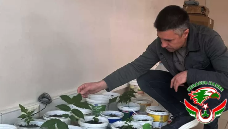 Osman Doruk’tan Ceviz Fidanı Hamlesi