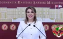 “Fındık Bahçelerini, Madenlere Parselletmeyeceğiz!”