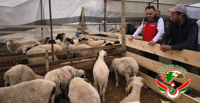 Kurban Satış Yerleri Denetleniyor