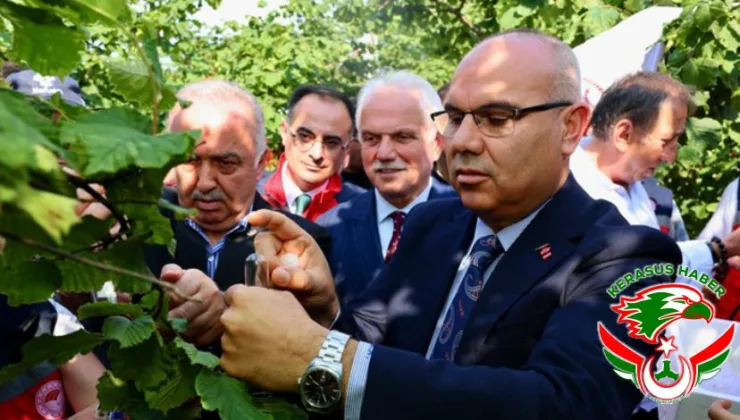 130 Bin Samuray Arısı Doğaya Salındı