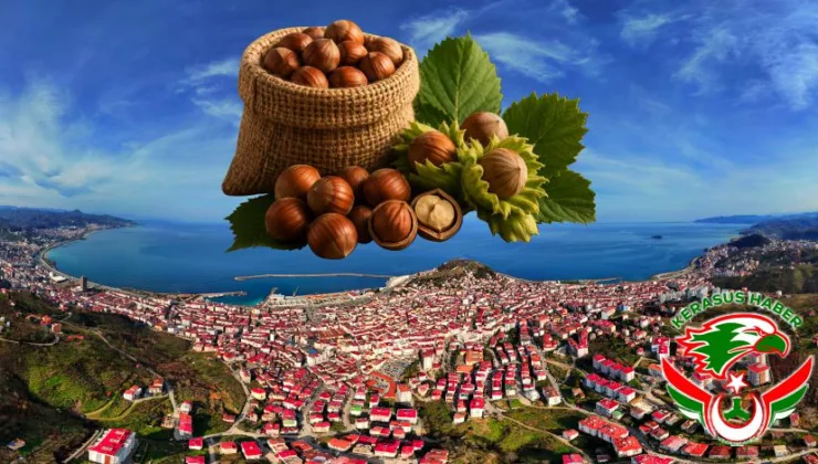 Giresun Fındığının Büyük Başarısı