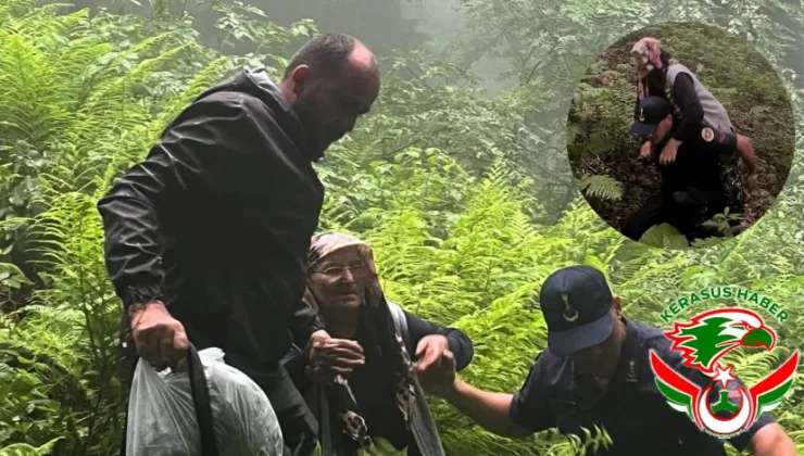 Bulancak’ta Siste Kaybolan 75 Yaşındaki Kadın Sağ Bulundu