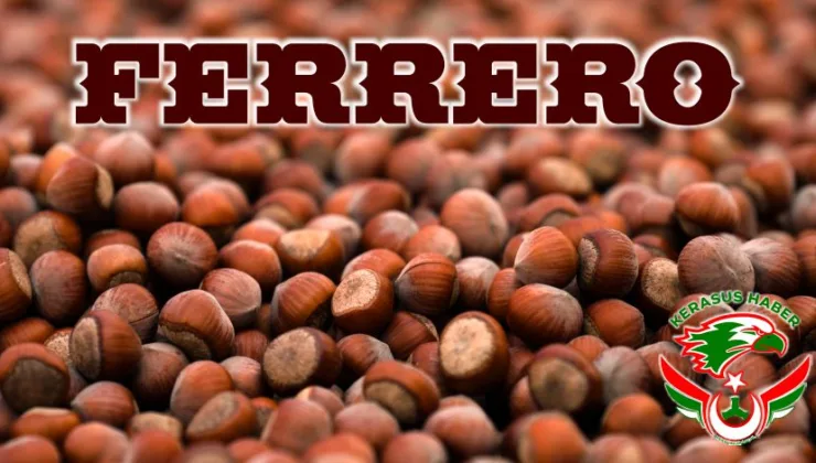 ‘Değerli Tarım Programı’ Ferrero’nun Tedarik Zincirini Daha Dayanıklı Hale Getirdi