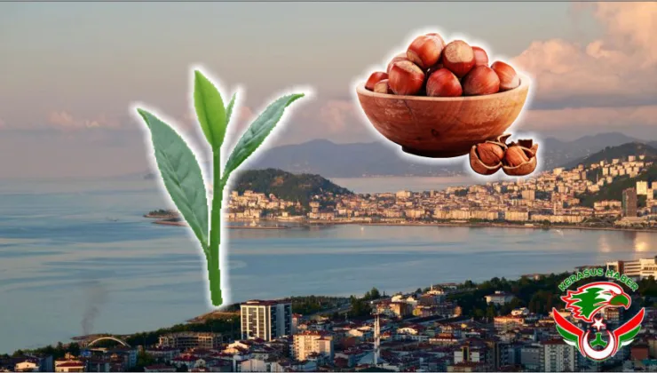 Giresun Tarımında Yatırım Patlaması