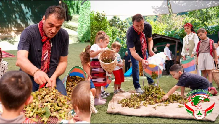 Minikler Fındık Hasadını Bahçede Uygulamalı Öğrendi