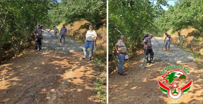 Tirebolu’da İmece Ruhu