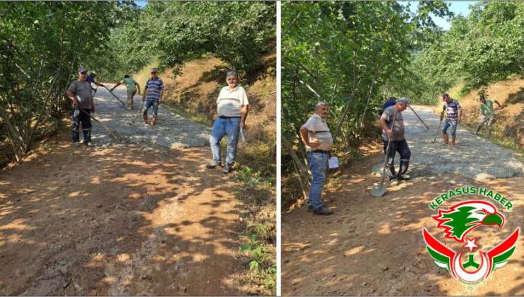 Tirebolu’da İmece Ruhu