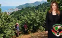 “Fındıkta Fiyat Çöküşü, Üreticinin Bitişidir!”