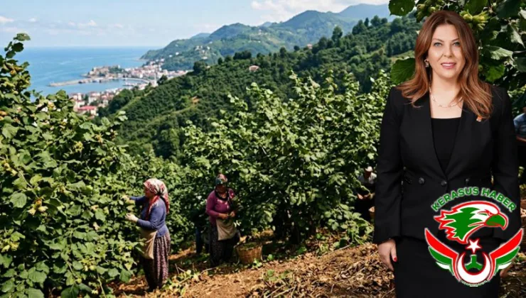 “Fındıkta Fiyat Çöküşü, Üreticinin Bitişidir!”