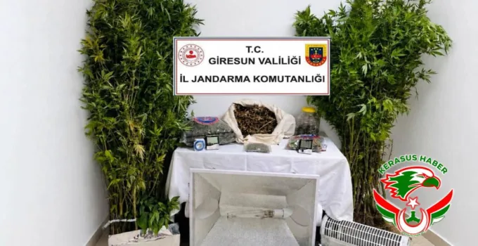 Jandarma’dan; Giresun Merkez’de Uyuşturucu Operasyonu