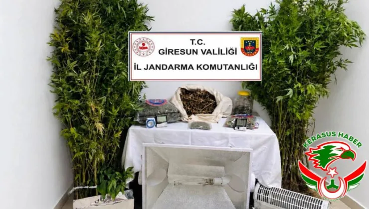 Jandarma’dan; Giresun Merkez’de Uyuşturucu Operasyonu