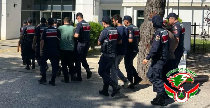 Jandarma’dan; Piraziz ve Bulancak’ta Fındık Hırsızlığı Operasyonu