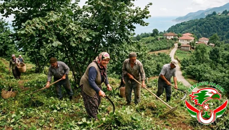 Tirebolu’dan Çevre ve Sağlık Çağrısı