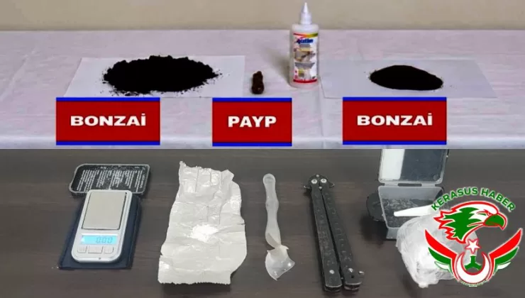 Jandarma’dan; Giresun ve Tirebolu’da Uyuşturucu Operasyonu